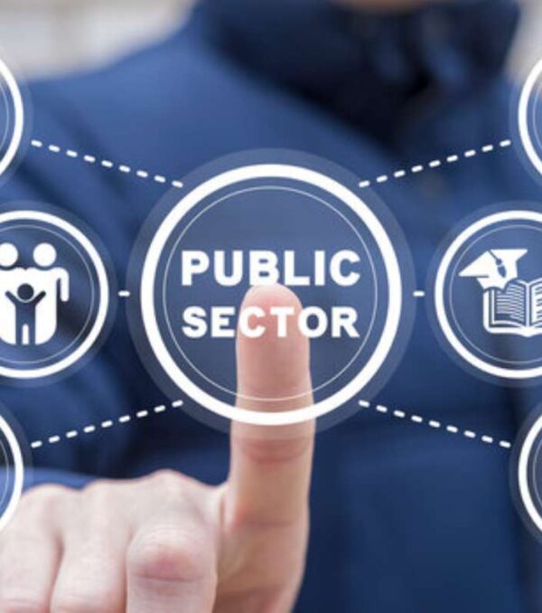 Government Sector Support